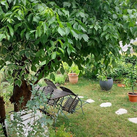 Villa Lotte Λίχτενφελς Εξωτερικό φωτογραφία