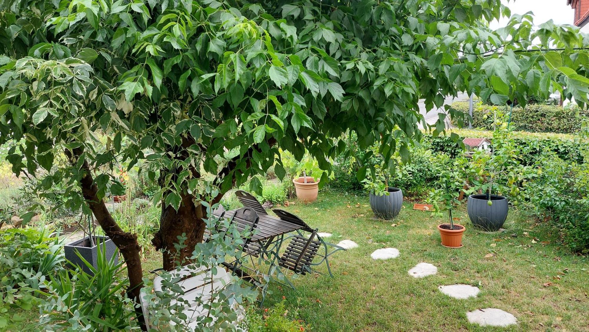 Villa Lotte Λίχτενφελς Εξωτερικό φωτογραφία